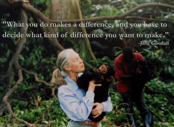 Toronto's tweet photo. #WednesdayWisdom from Jane Goodall. (Keep an eye out for a chance to win tickets to see her in T.O next month!) https://t.co/QXiyZajZA3