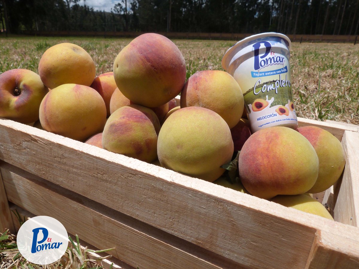 LacteosPomar's tweet photo. ¿Quién se antoja de una tarde de campo y esta deliciosa compañía? https://t.co/bRp6jtBXCR https://t.co/RWHgdw5d1Z