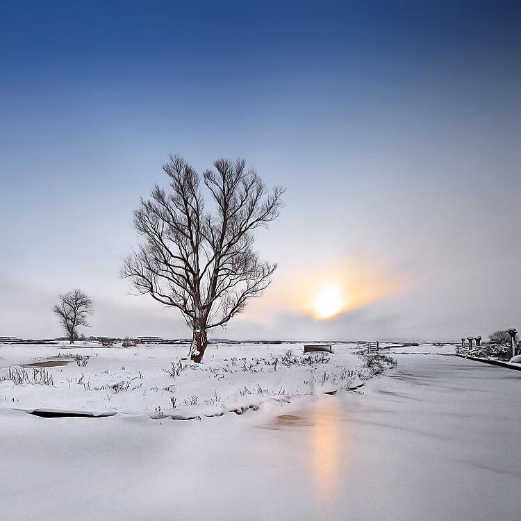 mjesusgz's tweet image. 