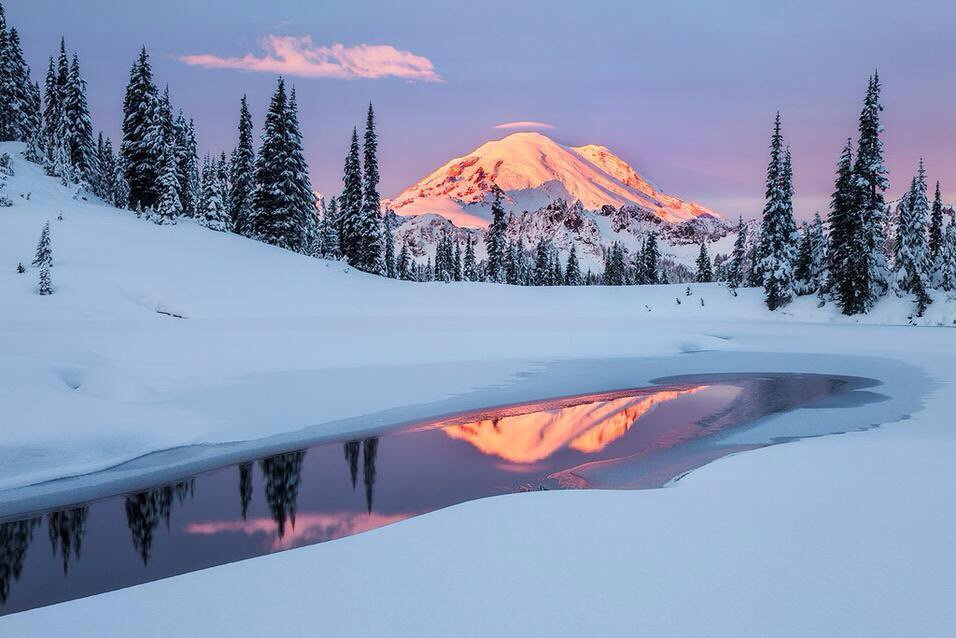 mjesusgz's tweet photo. Beautiful https://t.co/R6iUXqutzI