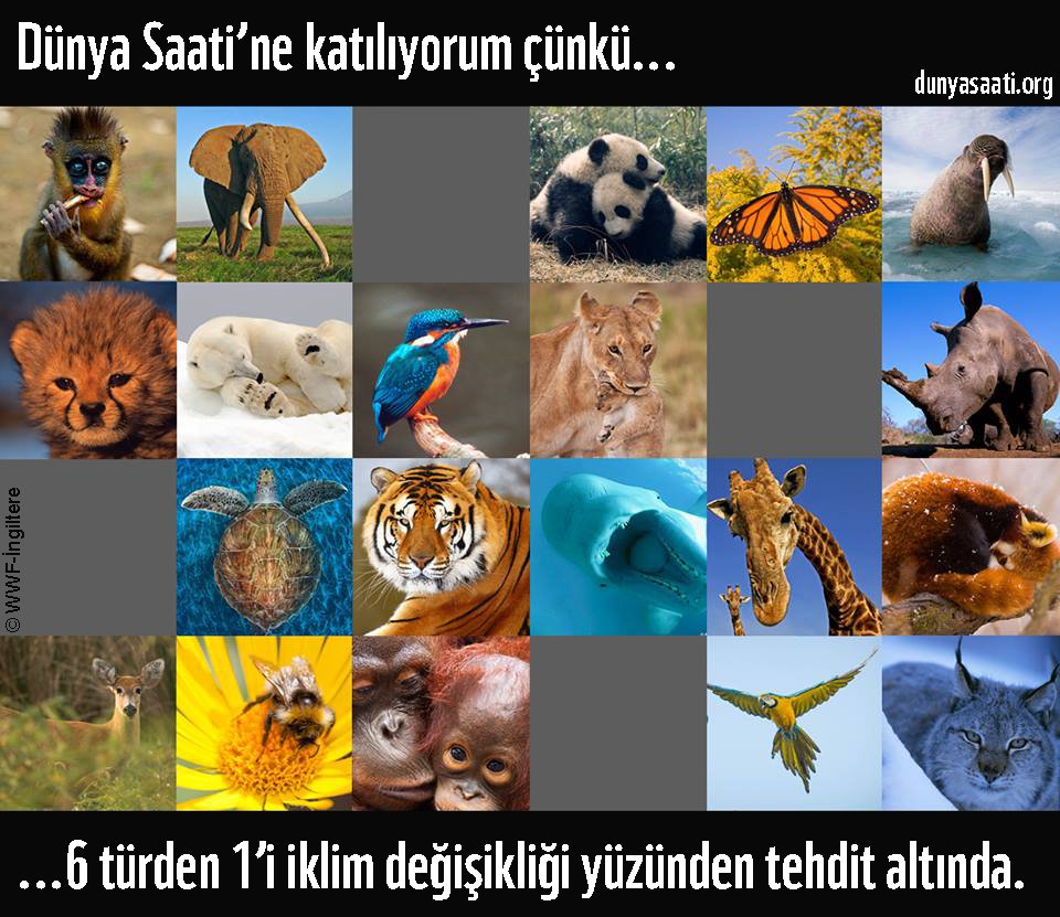 WWF_TURKIYE's tweet photo. 19 Mart 20.30'da herkesi ışıklarını 1 saatliğine kapatarak iklim mücadelesine ışık tutmaya çağırıyoruz. #DünyaSaati https://t.co/7lISGGy0jU