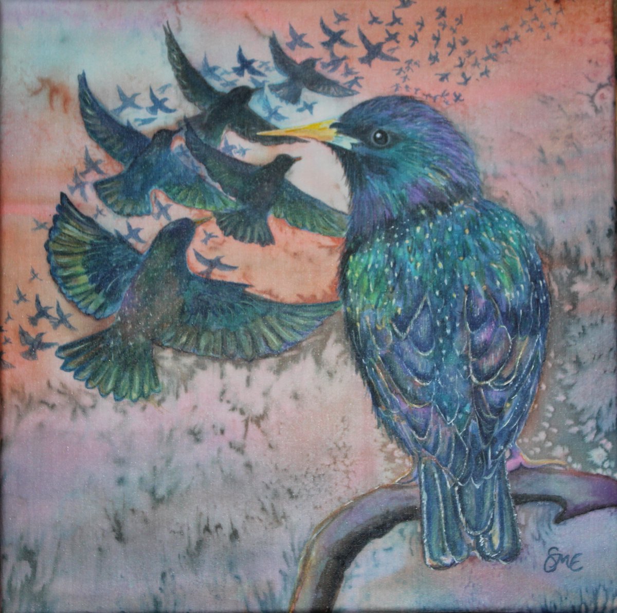 Sarah Evans tweet media