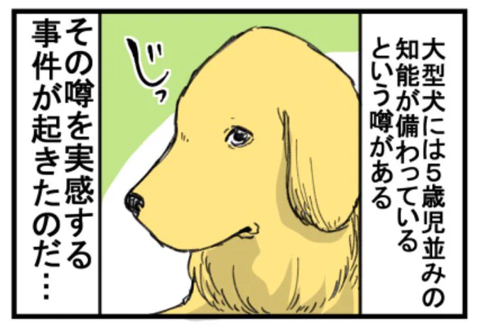 このこまちゃん上手くかけたぜ! 