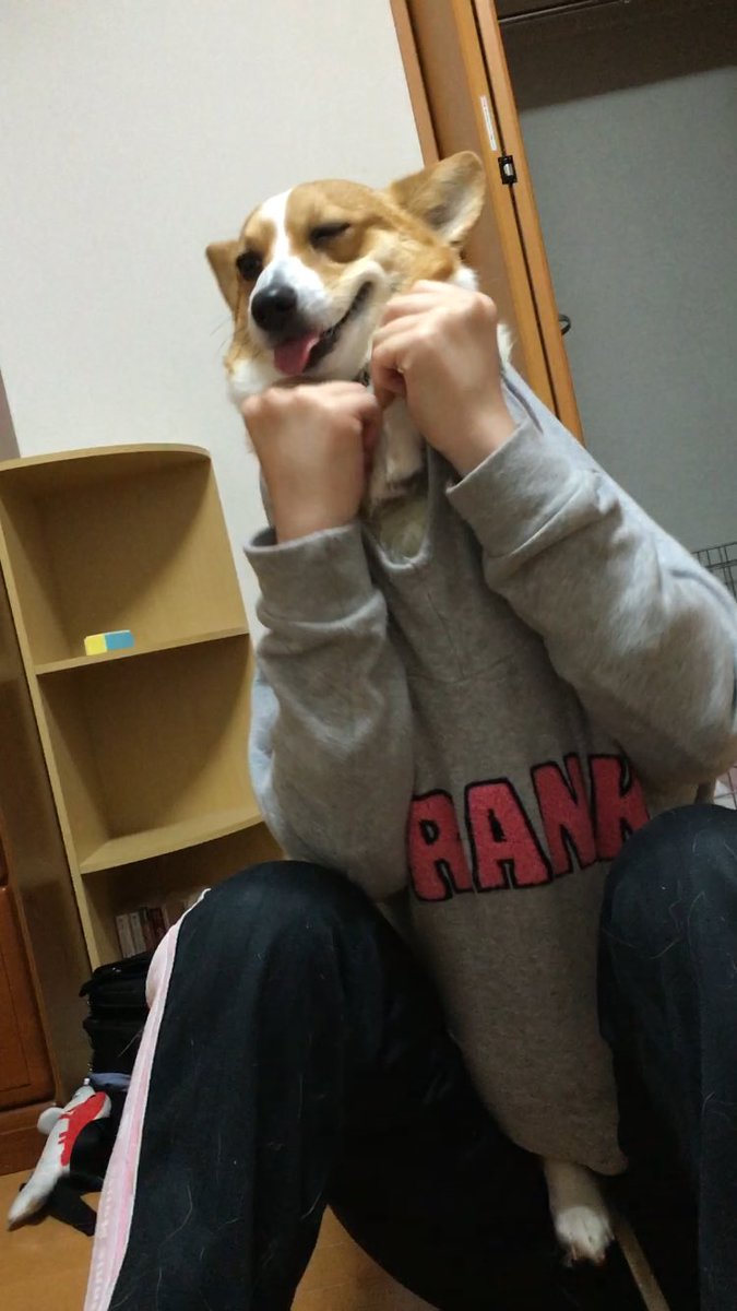 マロンの日常 Maron1029 Twitter