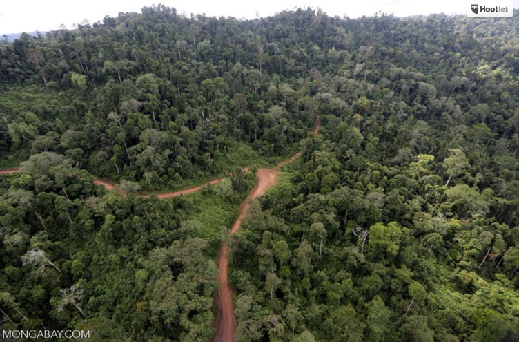 coolearth's tweet photo. New deforestation alert system lets users know about forest changes in just under a week https://t.co/BTSorm3QtV https://t.co/9sZ9H4TZBq