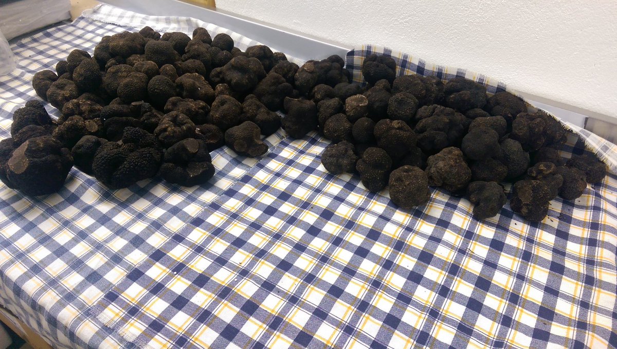 ATruffles's tweet image. Amazing Italian winter truffle (melanosporum) still available for our customers' customers to enjoy!!