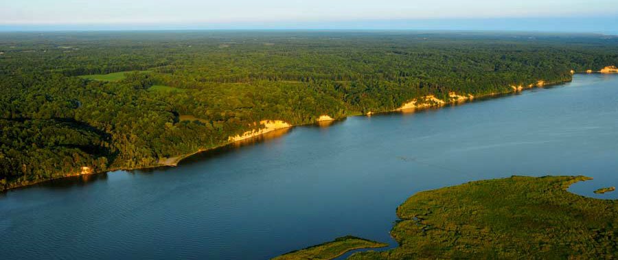 ASGCA Home Offices tweet media