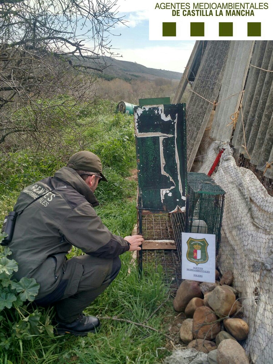 🚔🌳Asoc. Agentes Medioambientales CLM tweet media