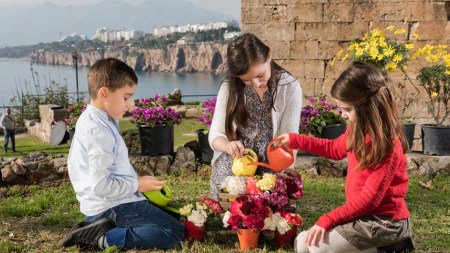 FloraHolland's tweet image. Handelt u reeds in Turkije en wilt u meer kansen benutten? Meldt u aan voor de #studiereis. mi8.ly/9a0gpg