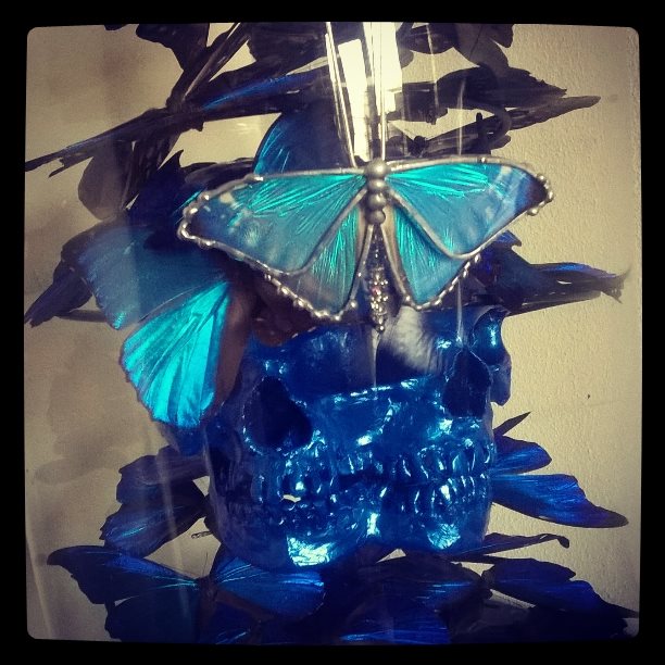 ihodeib's tweet image. Fetch the Sun Sculpture with a real butterfly encased in glass and silver as a necklace :)