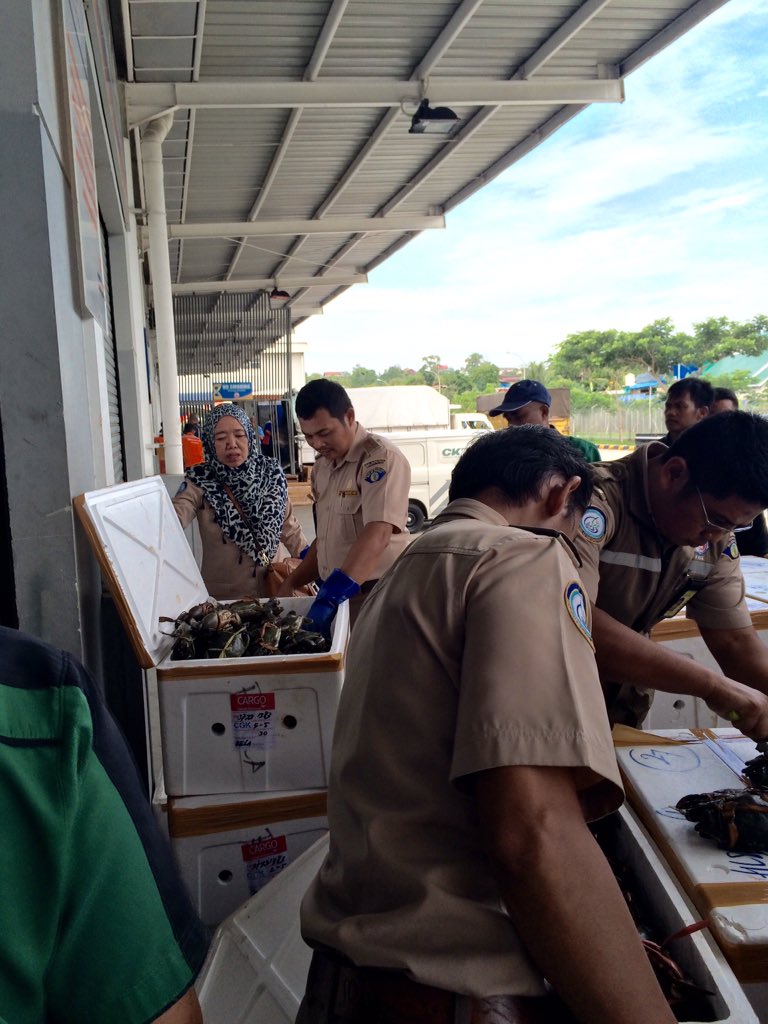 @HumasBkipm <a href="/NarmokoPras/">Narmoko Prasmadji</a> 1.tetap eksis &amp; komit dlm implementasi permen KP No.1/2015