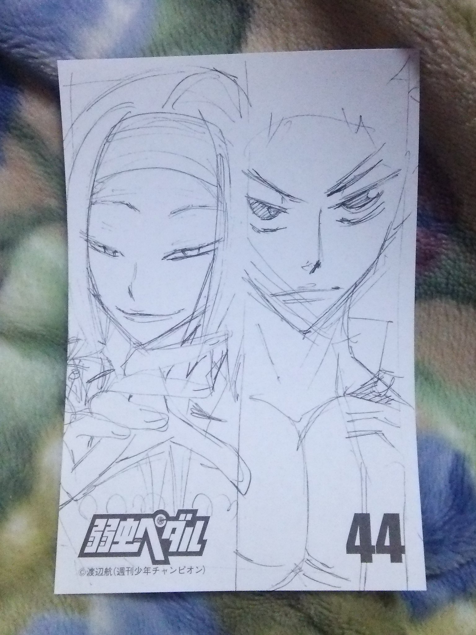 赤い彗星のカチューシャ大佐 Sur Twitter アヴ 弱虫ペダル44巻 泉田塔一郎君が表示 イラストが付いてきてけぇ 弱虫ペダル 泉田塔一郎 T Co Y7sygpat6b Twitter