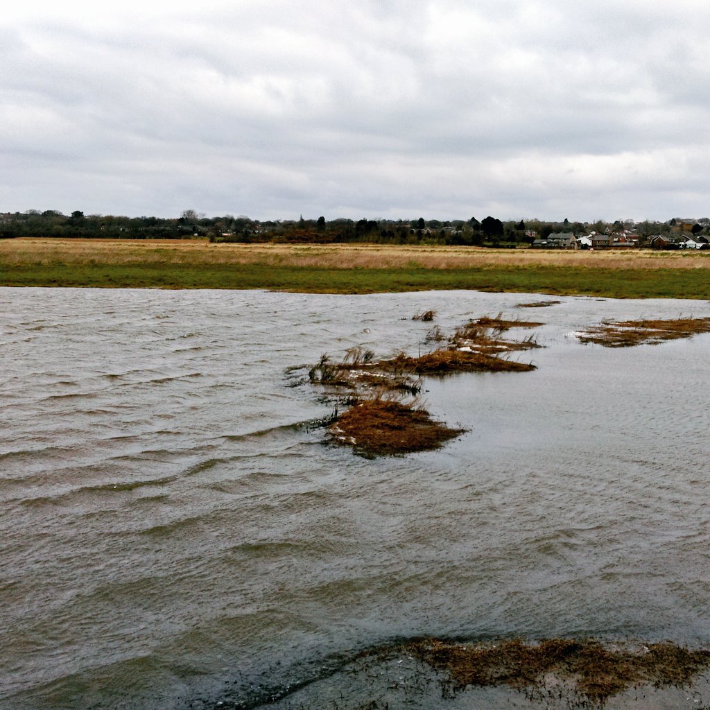 ScanningScience's tweet photo. @MMU_SciEng wave attenuation of saltmarsh in action today. Very windy sampling #image_competition https://t.co/vlmMzNUWTq