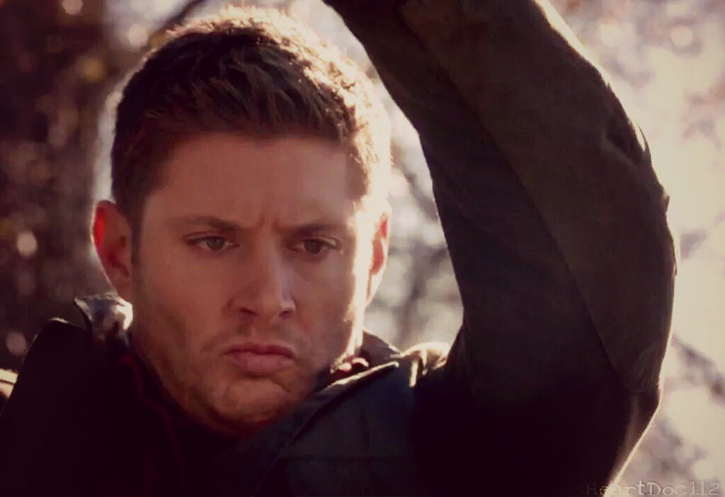 ALehberger's tweet photo. @tracey1293 @OAcklehlic @TpicAllJensen @pinkjeangreen @RockMomSPN @mariepop60 @jenajasper #AngryDean ๐๐๐๐๐ https://t.co/Hwf6r7zrbs