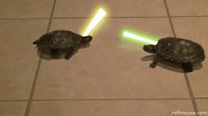 Who cares about hamsters when you've got ninja turtles with lightsabers <3 #TMNT