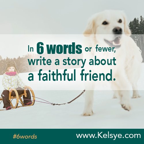Kelsye's tweet photo. In SIX WORDS or fewer, write a story about a faithful friend. Share-https://t.co/YELoOPusb7 #6words #1linewednesday https://t.co/VqC3YuKzcb