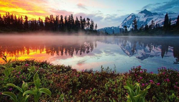 Surftiva's tweet photo. “The beautiful journey of today can only begin when we learn to let go of yesterday.” - Steve Maraboli https://t.co/pDRKFmkquG