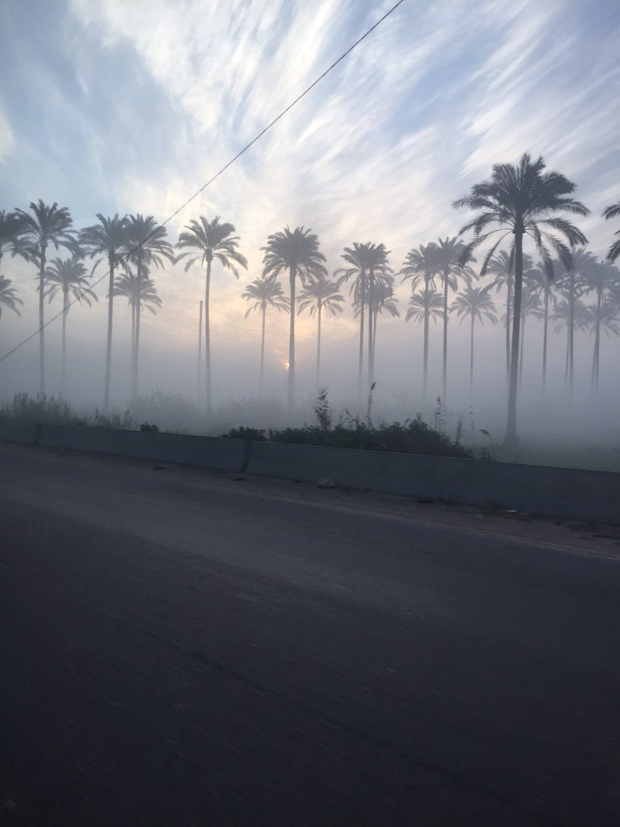 BenHannah3's tweet photo. Another mysterious Alexandria morning #AlexandriaMorning #EgyptDawn https://t.co/nj4UnEZsyl
