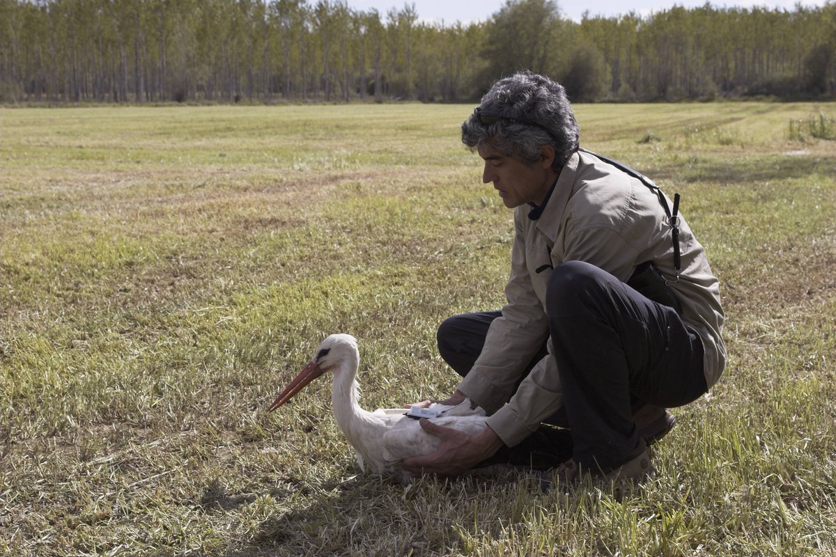 EFEverde tweet media