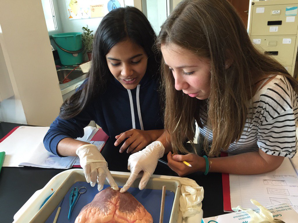 Jen Heisler tweet media