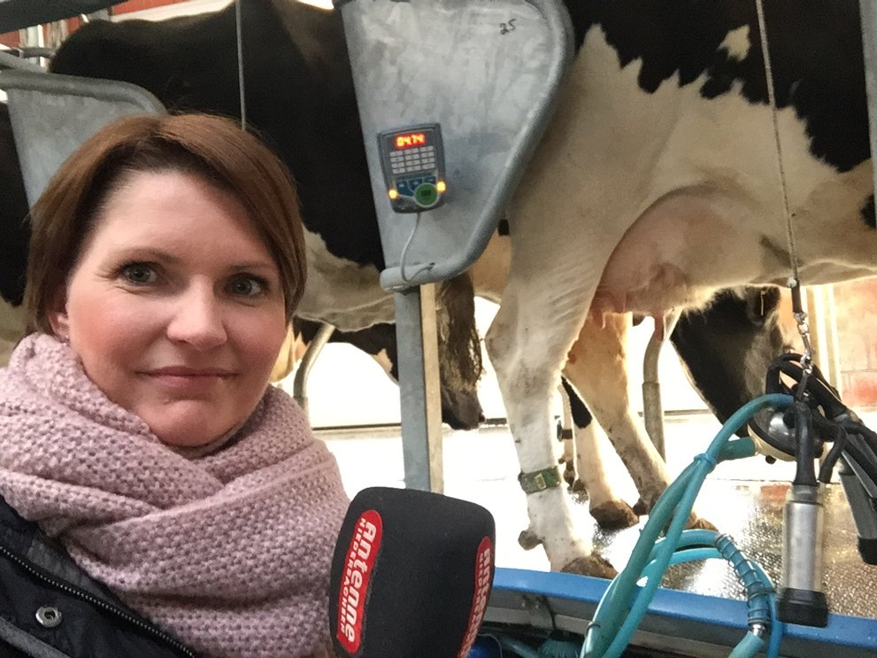 SandraDroege's tweet photo. An die Euter, fertig, los! In #Thedinghausen treten gleich 12 #Landwirte aus #Niedersachsen im #Wettmelken an. https://t.co/rRsk7l8L4m