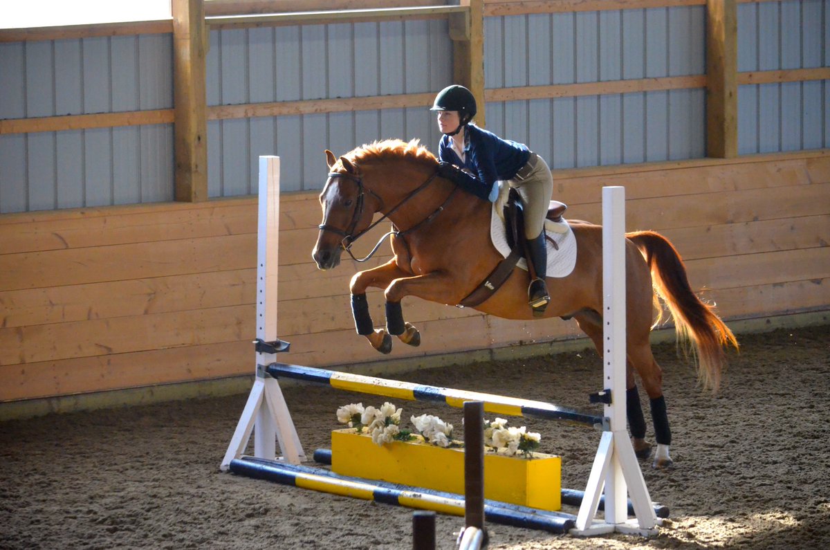 InTheHunterRing's tweet image. #rideforolivia ❤️