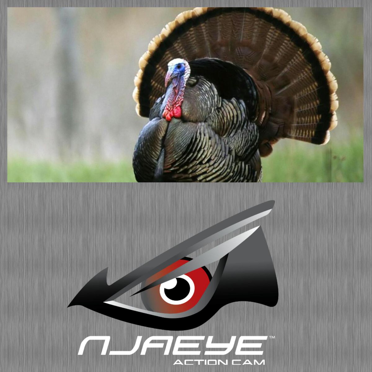 Capture your Spring Turkey hunt with a Njaeye Action Cam Njaeye.com use promo code TBOFAN for 10% Off!