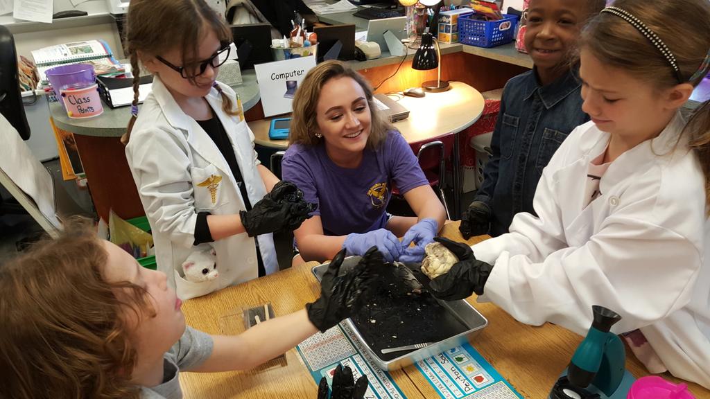 M_SeideMAN's tweet photo. Quote of the day: "Why did you murder all of those sheep's!?" #BioMed, #METSWeek, #OFHSHOSA https://t.co/mZGWQDyugI