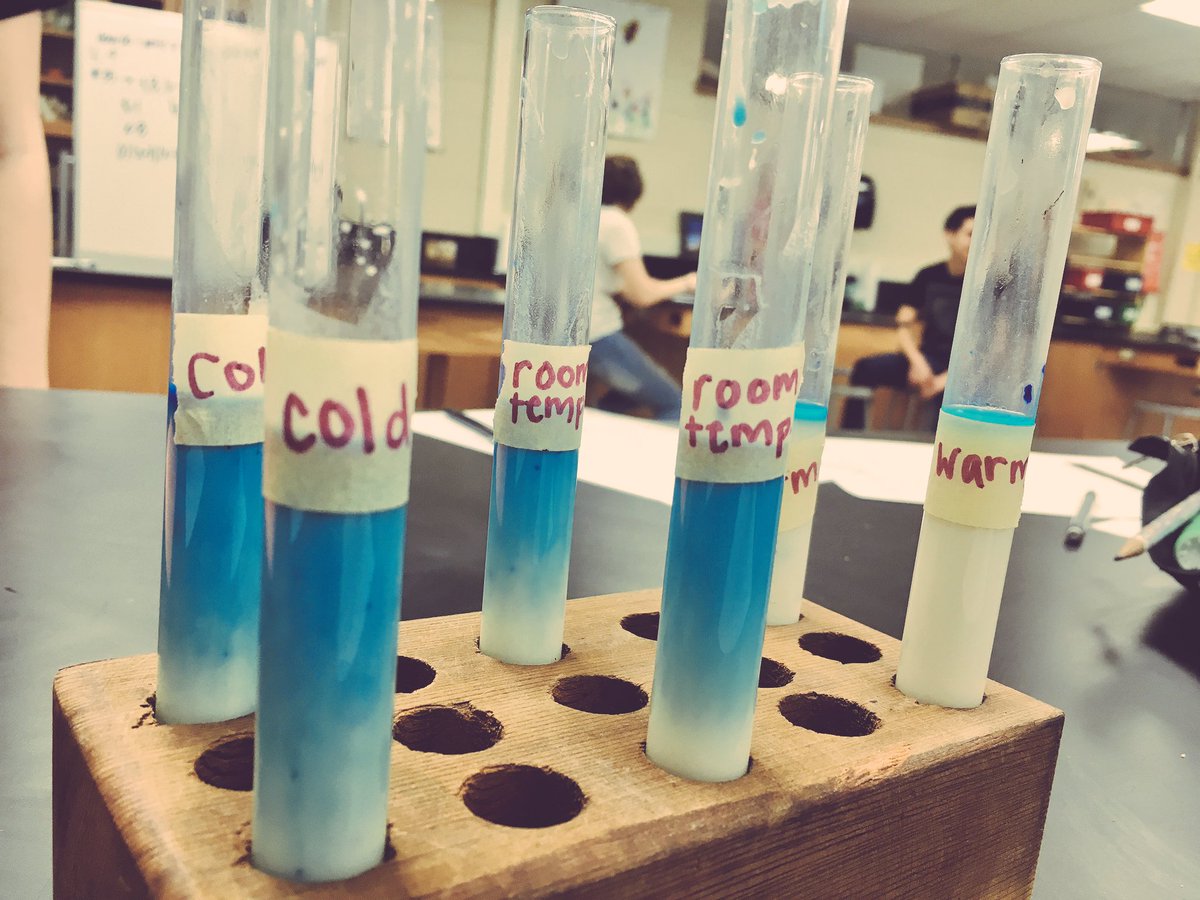 BEHSAPEnviro's tweet photo. Biological oxygen demand inquiry lab today. S/O to @franklingain for the idea #collaboration4theWIN ππ» #BEExcellence https://t.co/cIpuAw7f18