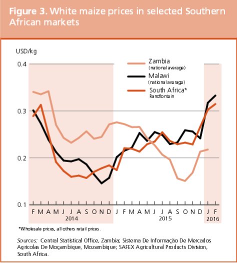 FAO's tweet image. #SouthernAfrica: sharply reduced 2016 cereal prod prospects - maize prices at record lvls ow.ly/ZfjaL