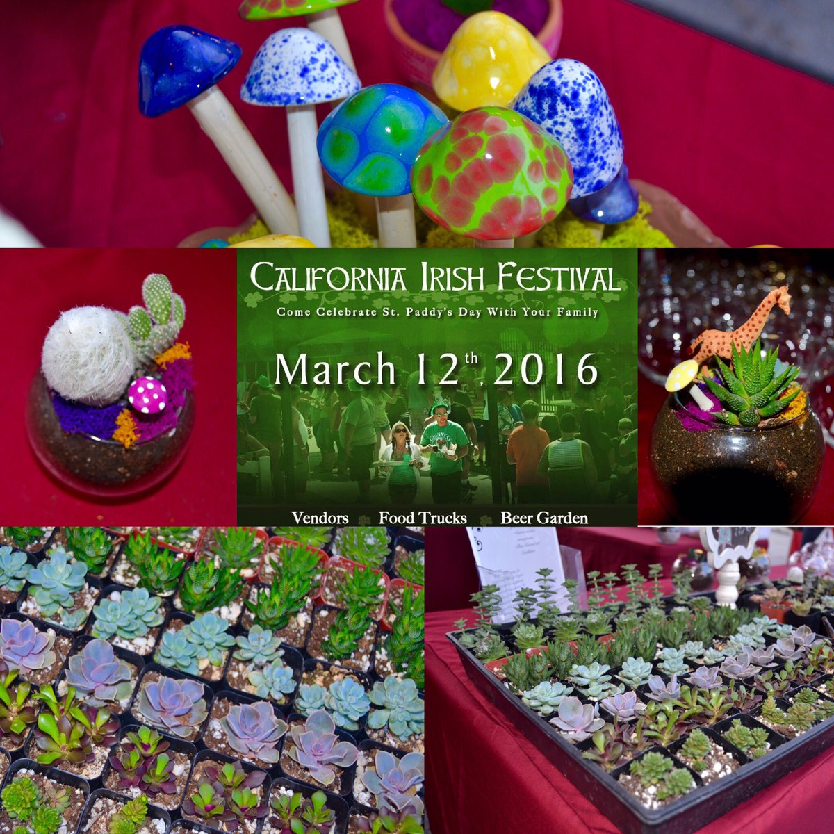 Stop by the #CaliforniaIrishFestival and build your very own terrarium.. #SucclentMoon