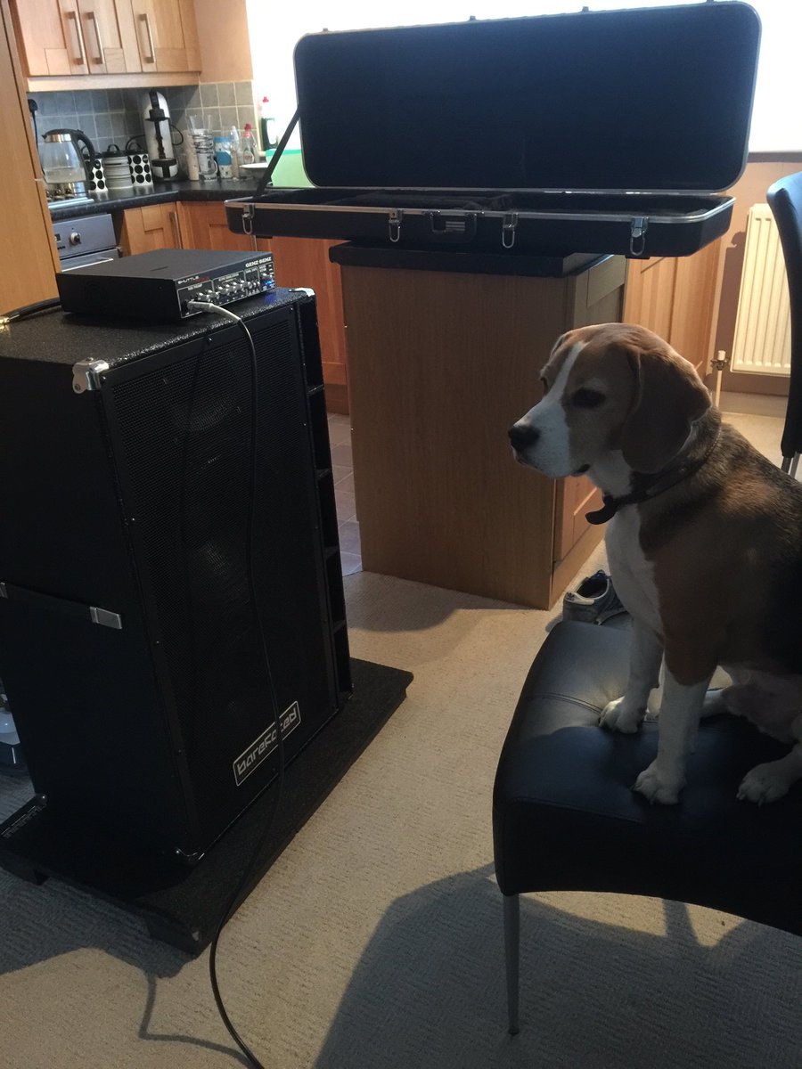 Lee adlam tweet media