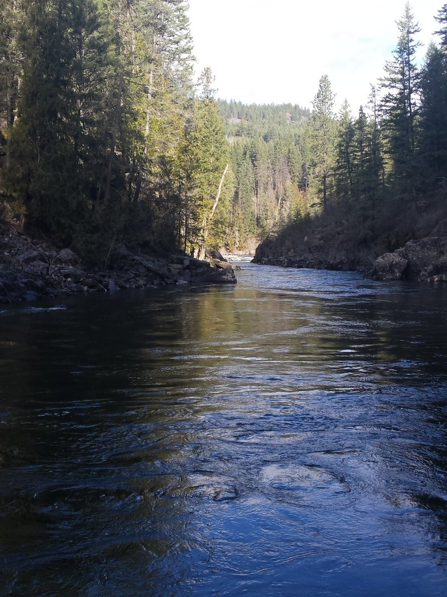jonny4twenty's tweet photo. Well there's a few colors in the pan!!! Need to find the motherload!!#goldfever #goatriver https://t.co/hyoVGE6TXE