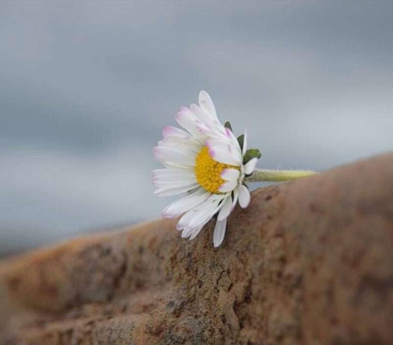 Especialmente para ti...♡