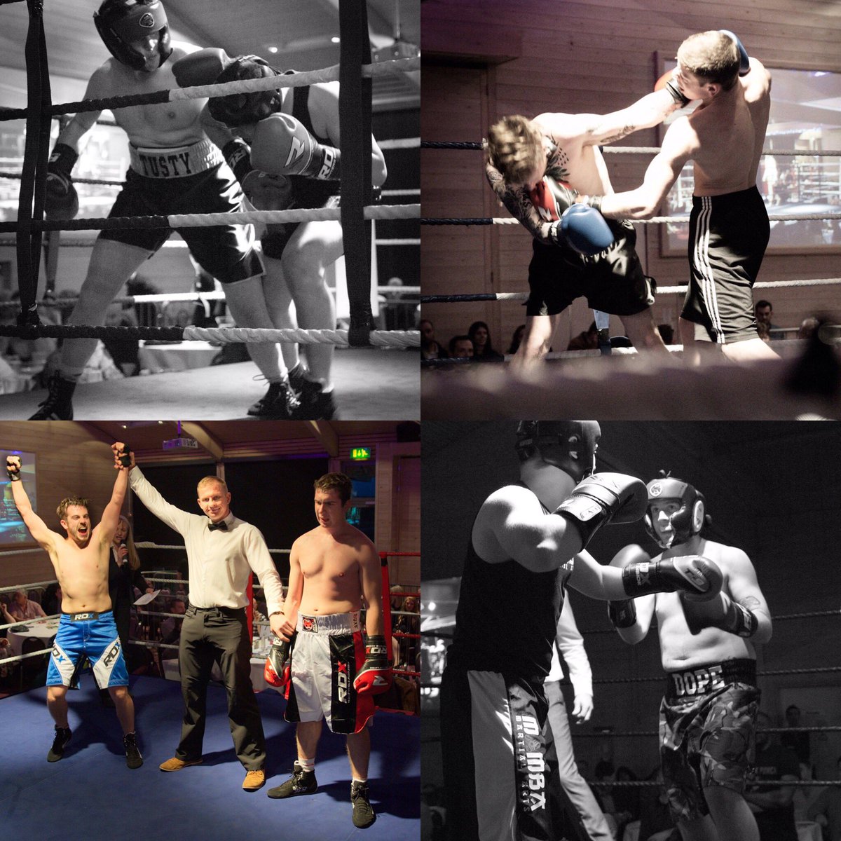 gfpsuffolkpunch tweet media