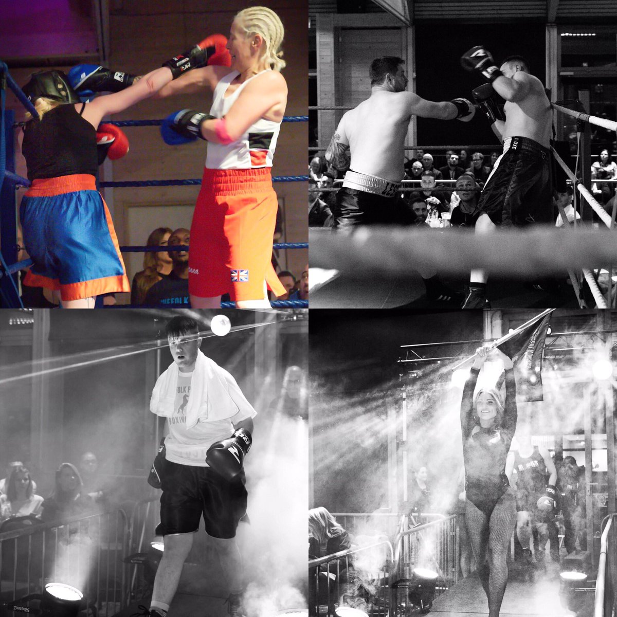 gfpsuffolkpunch tweet media