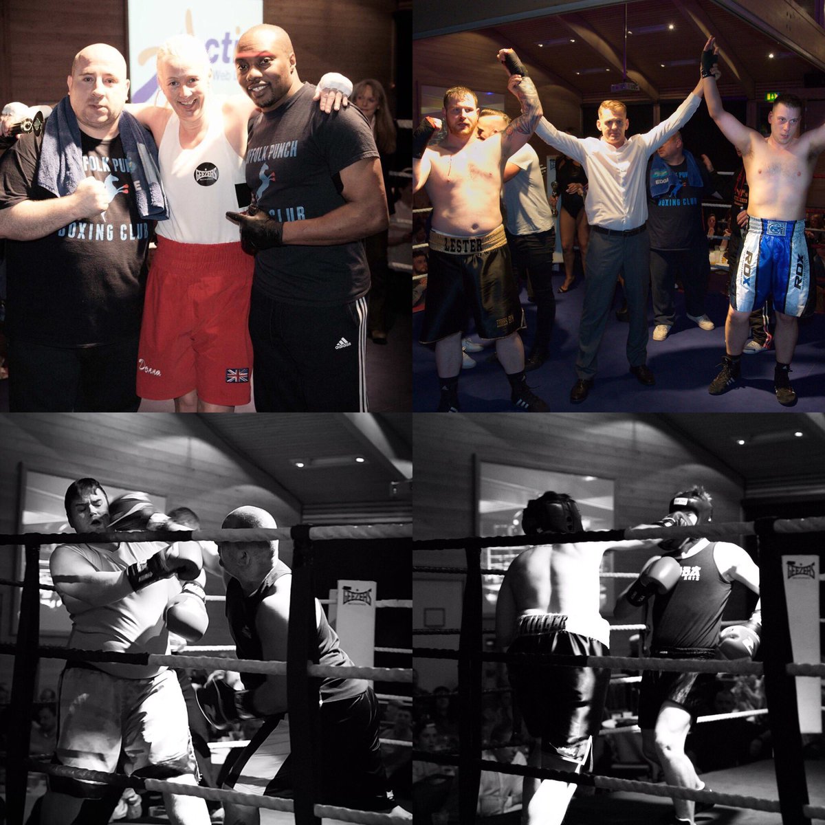 gfpsuffolkpunch tweet media