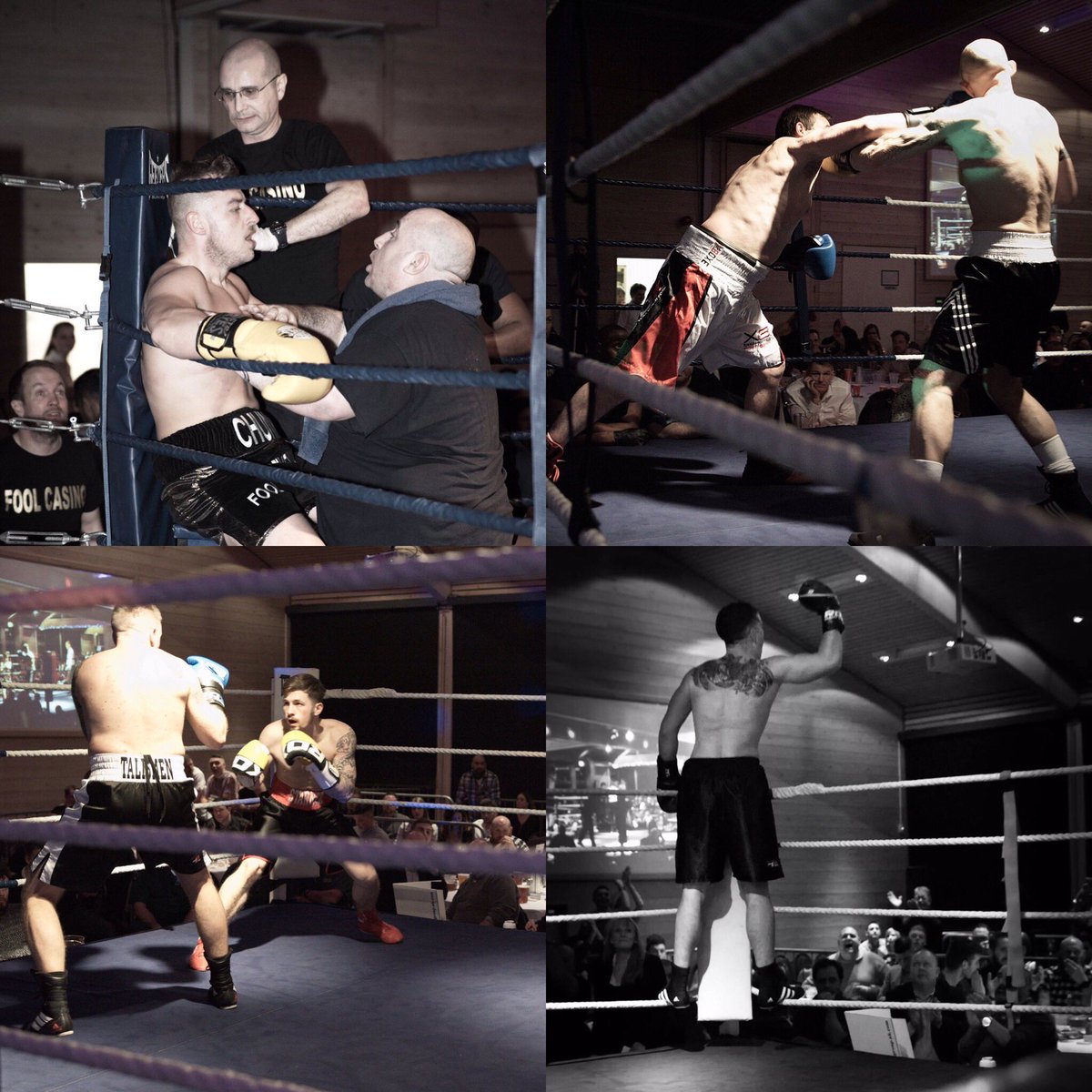 gfpsuffolkpunch tweet media