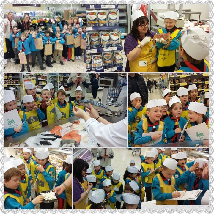 lindsaykennedy7's tweet photo. @EatHappyProject @TescoHeswall @HilbreScouts great tour tonight with Beavers #veryexcited #greatpics #wornout  😄 👍 https://t.co/4Kmvsfzniv