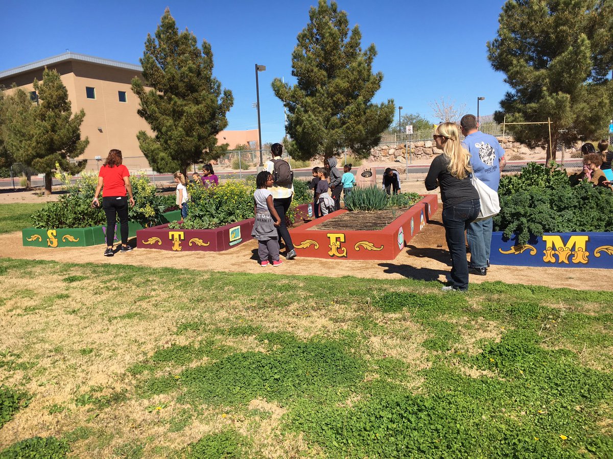 PreferredPR's tweet photo. Harvest day @ Booker Elementary for tomorrow's #ICEdinner @createachangelv @resetprojectlv #FoodEd https://t.co/acmd9VuOSy