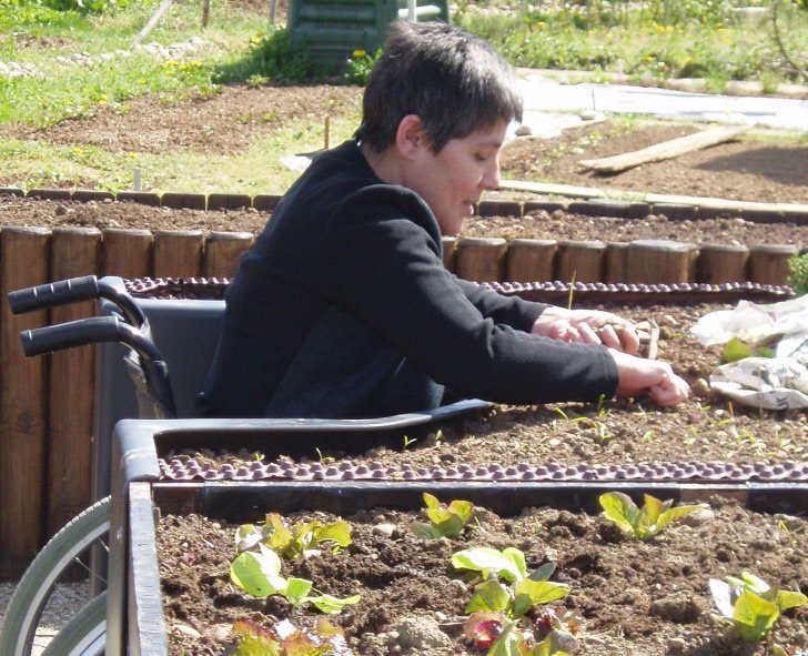 The Terraform Raised Garden Bed Helps the Wheelchair-Bound Get Their Gardening On! buff.ly/21ZoZGg