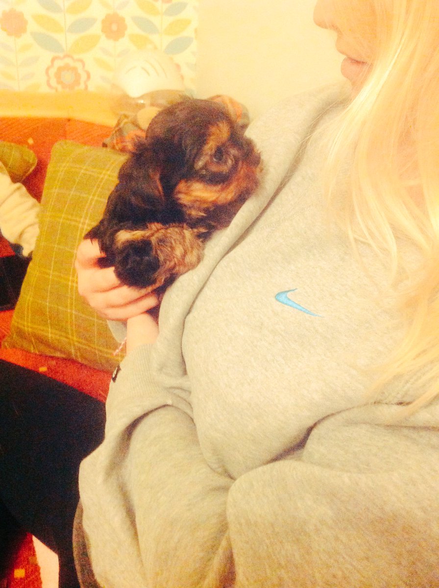 New addition to the family #puppy