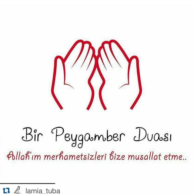 ayseakts88's tweet photo. #DineihanetDekanaiftira https://t.co/isRnD238bv