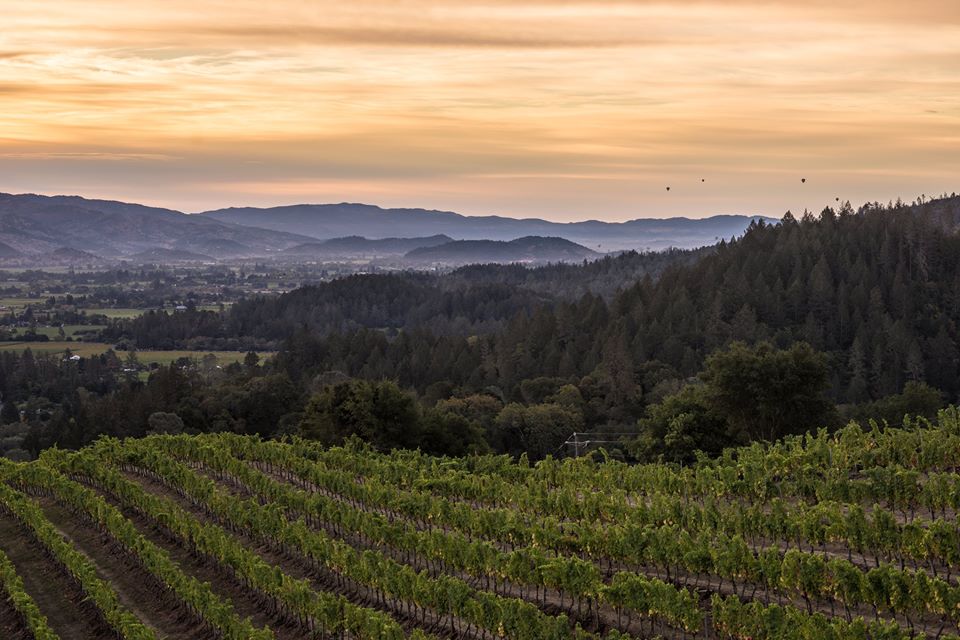 750ml Wines AK + BV (@750mlwines) on Twitter photo 3/16 6PM <a href="/750mlwines/">750ml Wines AK + BV</a> Akron <a href="/NewtonVineyard/">Newton Vineyard</a> viticulturist Louis Caillard RSVP 330-794-5754 Club750 $49 NonClub $59 3/16 6PM <a href="/750mlwines/">750ml Wines AK + BV</a> Akron <a href="/NewtonVineyard/">Newton Vineyard</a> viticulturist Louis Caillard RSVP 330-794-5754 Club750 $49 NonClub $59