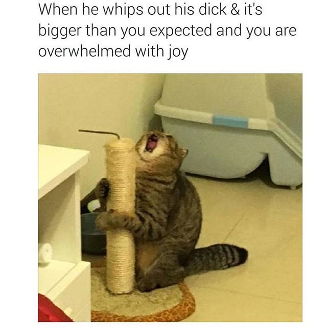 SquadWorm's tweet photo. https://t.co/z3YjPf0FPg