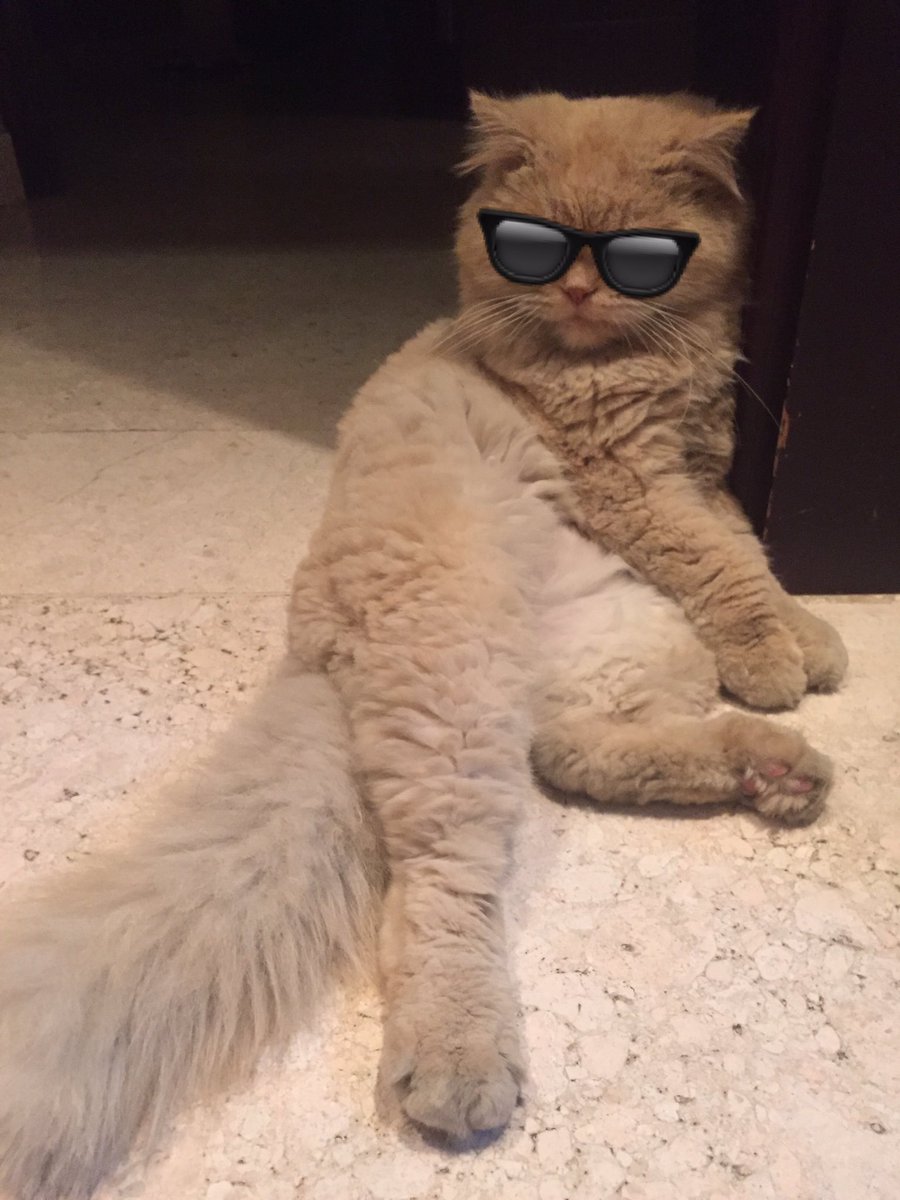 iiiSimba's tweet image. Just chilling.