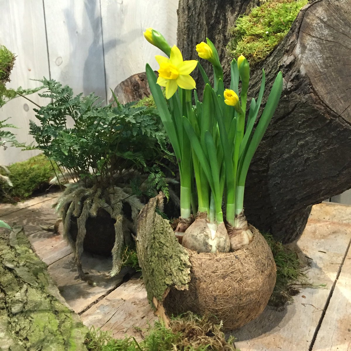 Wij staan nog tot 21:00 uur vanavond voor je klaar op de #FHSTF. Geen tijd gehad? Dan zien we je graag morgen!