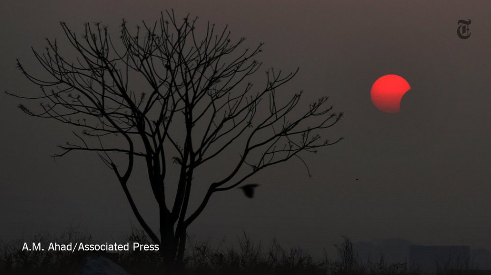 NYTScience tweet picture