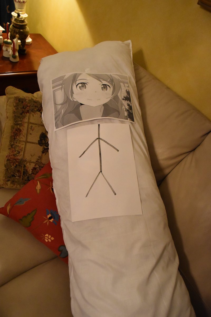 My dakimakura pillow arrived before dakimakura covers, this will have to do...