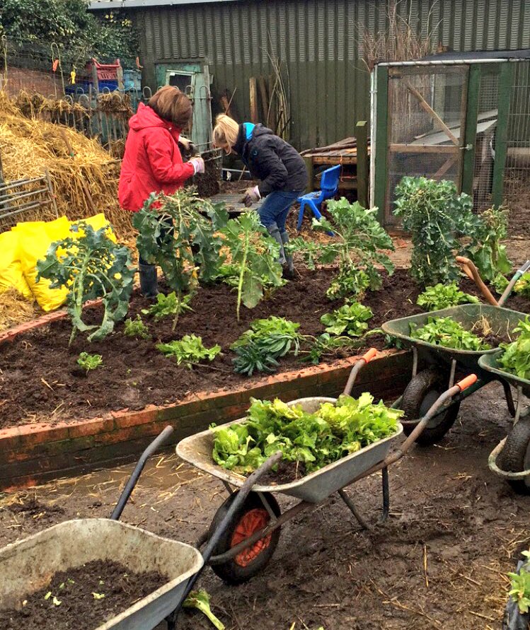sjtwg's tweet photo. Get planting girls! @SueWrig47992030 @NBSemployees 😆😆 so pleased to be able to help #sidebysideproject https://t.co/jSbaKdJ2N1